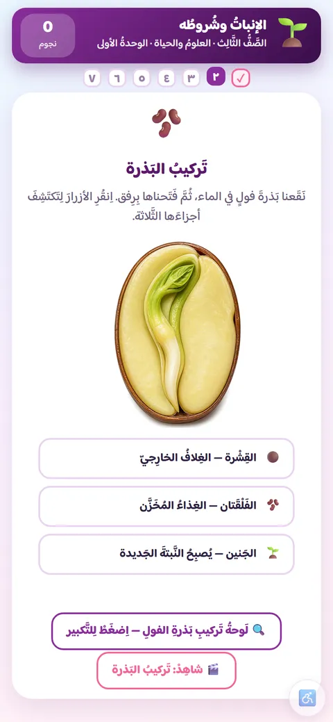نشاط علوم للصف الثالث: تركيب بذرة الفول وأجزاؤها